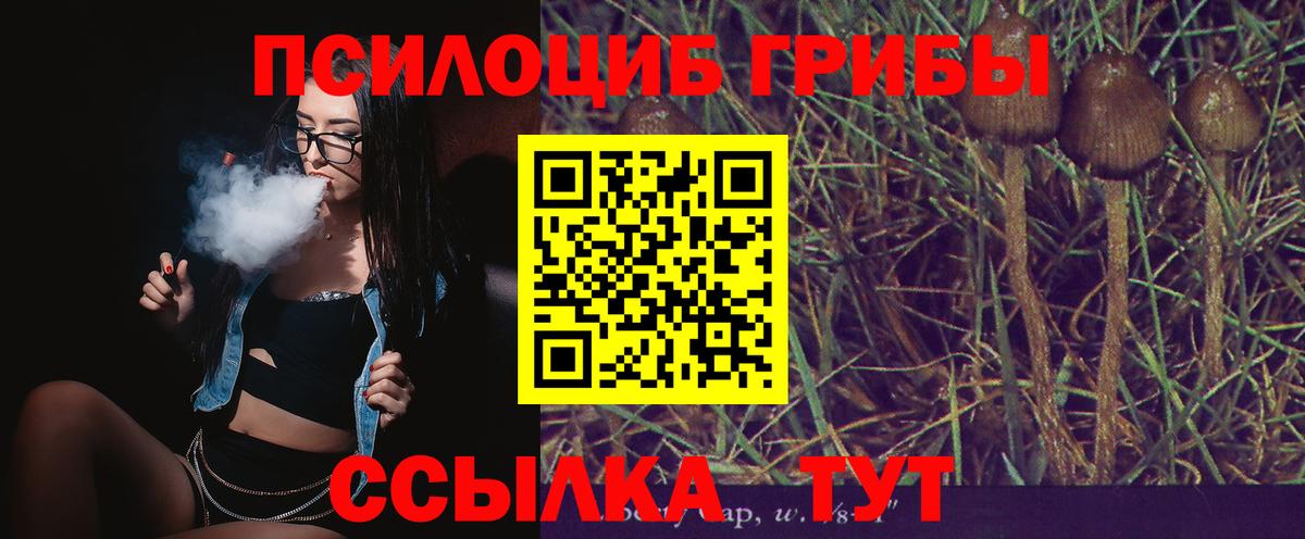 Псилоцибиновые грибы мухоморы  Вход с VPN  Кимры  даркнет сайт  Псилоцибиновые грибы прущие грибы 